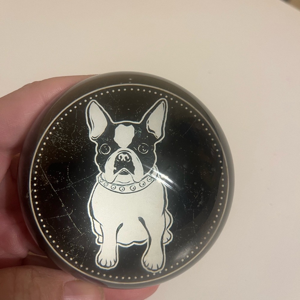 Glass Dome Bulldog Paperweight Circumference 10 Inches